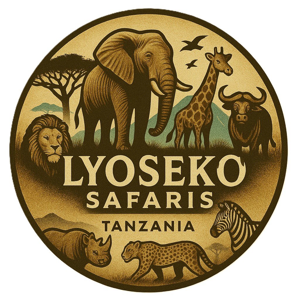 Lyoseko Safaris Tanzania Authentic private safaris with Jackson – Your local expert in Arusha Lyoseko Safaris Tanzania Authentic private safaris with Jackson – Your local expert in Arusha