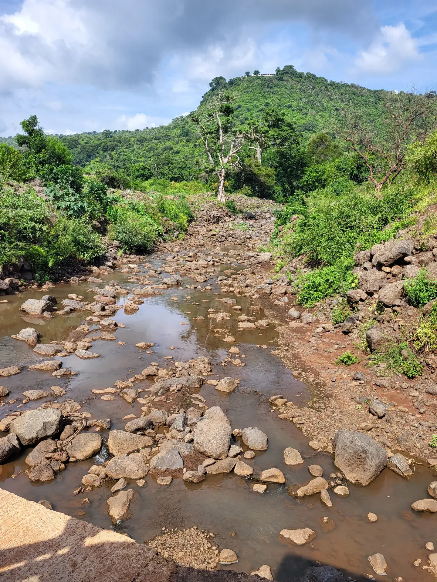 Rocky stream flowing through green vegetation below the Lake Manyara escarpment