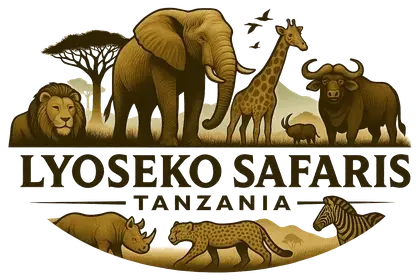 Lyoseko Safaris Tanzania