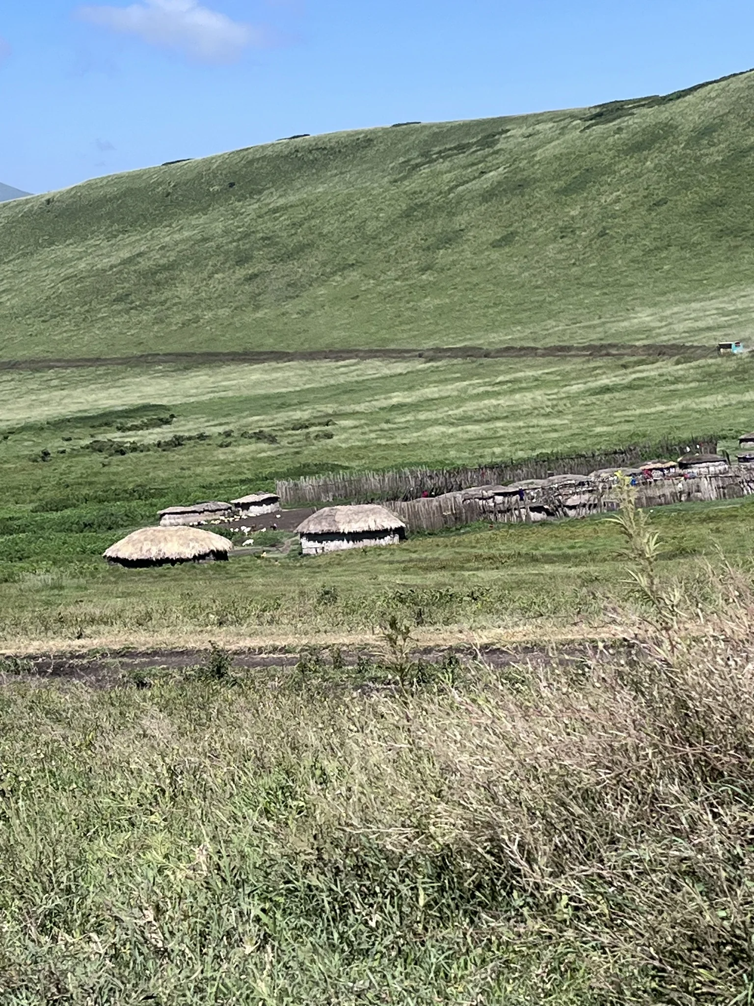 Maasai village surrounded by the green highlands of the Ngorongoro Conservation Area